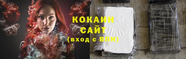 меф Арсеньев