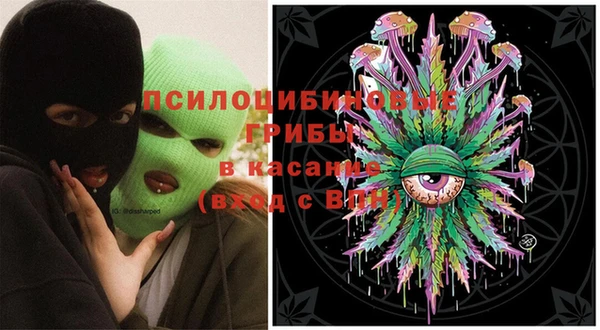 меф Арсеньев
