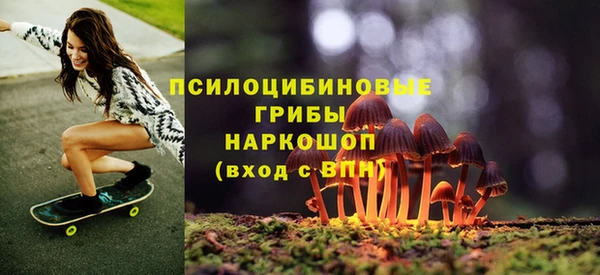 spice Армянск