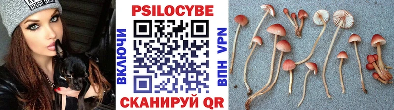 Псилоцибиновые грибы Psilocybe хочу наркоту Семилуки
